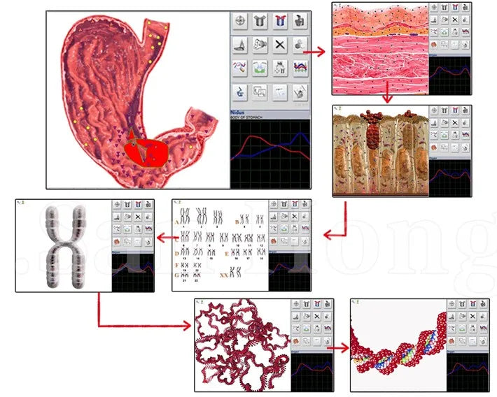 NEW Health Analyzer Machine Meta Hunter 4025 Nls Clinical Diagnostic Quantum Resonance