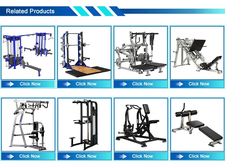 Source Factory Indoor Workout ROSEN Fitness Equipment Bodybuilding Galvanized Steel Dual Adjustable Pulley for Gym Centre