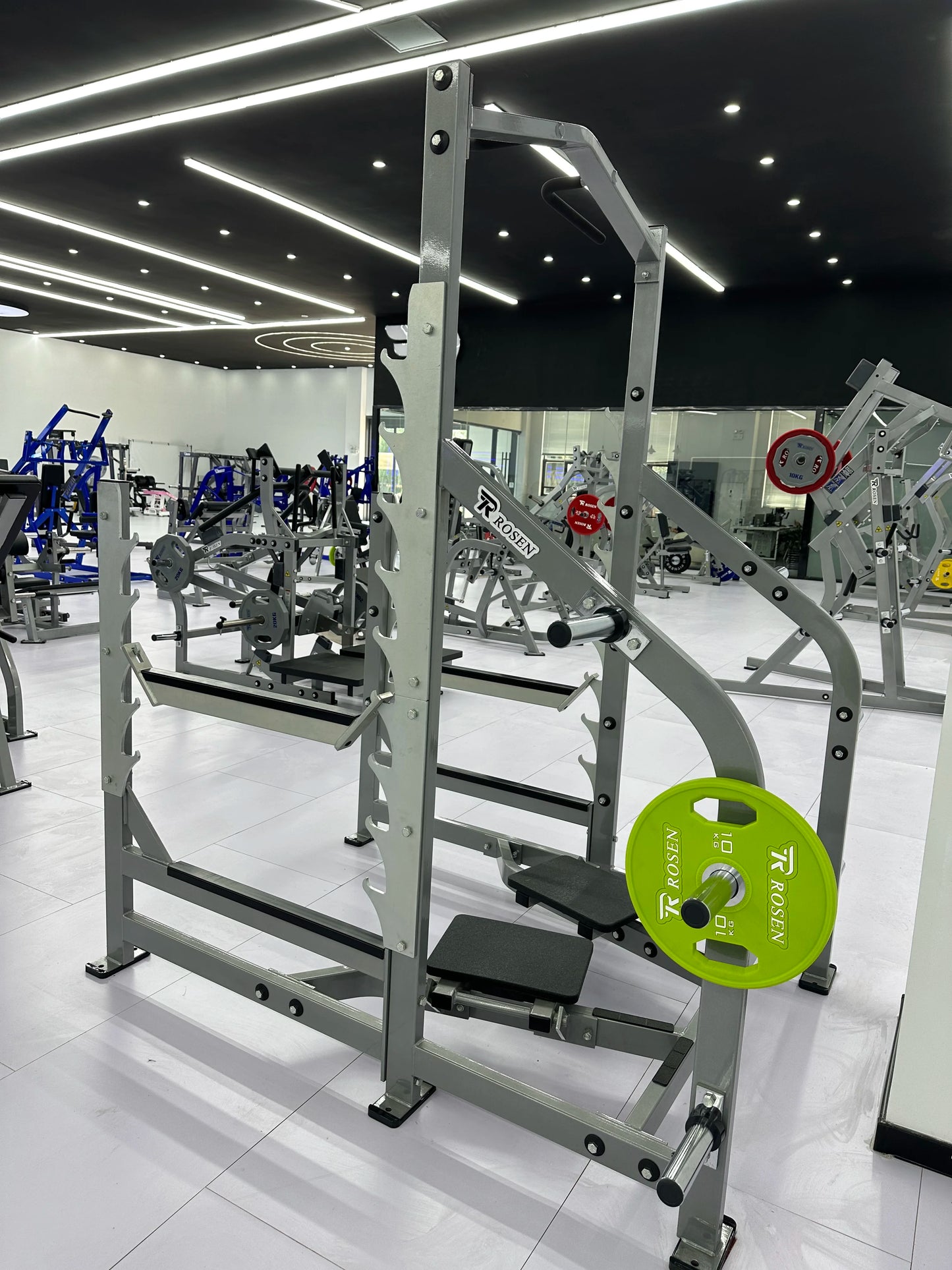 2025 High Quality Gym Equipment Weight Lifting Workout Squat Rack Rosen Fitness Plate Loaded Squat Rack Pull up for Exercise