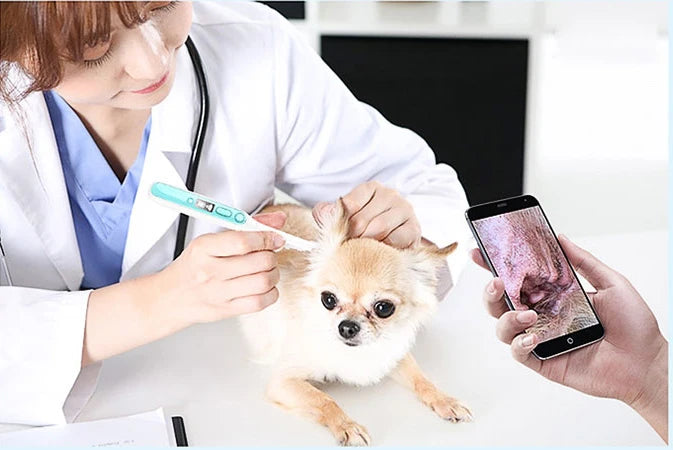 Wireless Dentist Teeth Intra Oral Endoscope Dental Wifi Intraoral Camera Intra Oral Camera