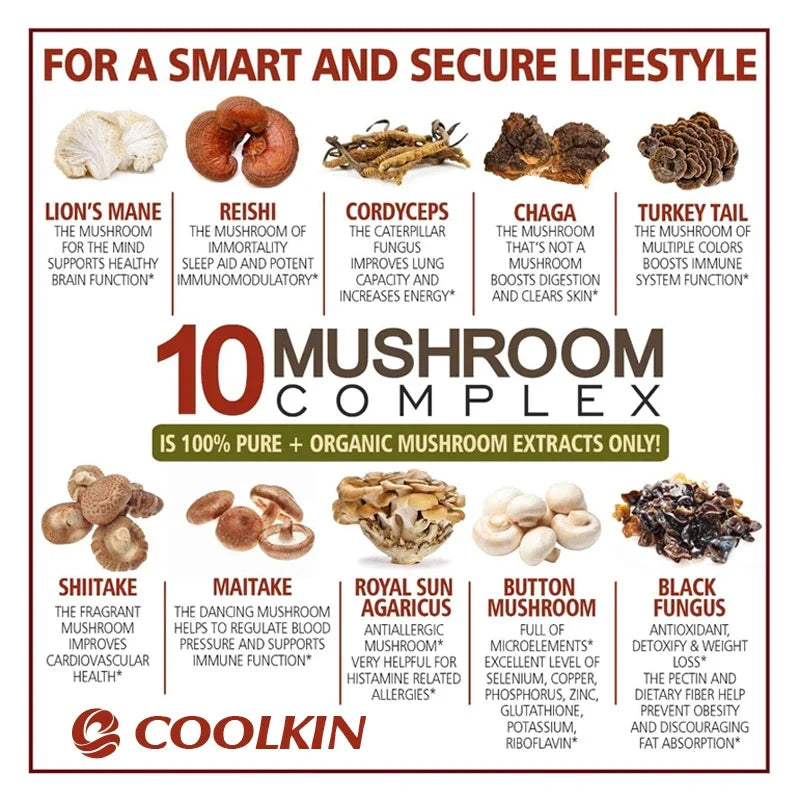 10 Mushroom Complex - Boost Energy, Improve Brain Function, Enhance Memory and Concentration, and Boost Immunity