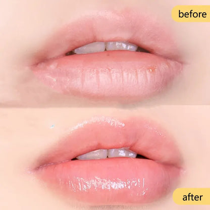 4/1Pcs Natural Lip Balm Moisturizing Lipstick Base Cute Makeup Anti-Cracking Lip Oil Original Korean Cosmetics Skin Care Product