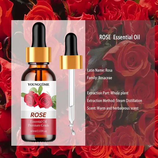 Hair Care Rose Hip Essential Oil Face Firming & Fine Lines Body Moisturizing & Smoothing Hair Moisturizing & Nourishing Oil new